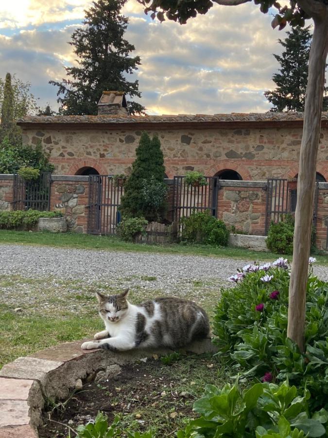 Agriturismo Il Pozzo Castiglione dʼOrcia Exterior foto