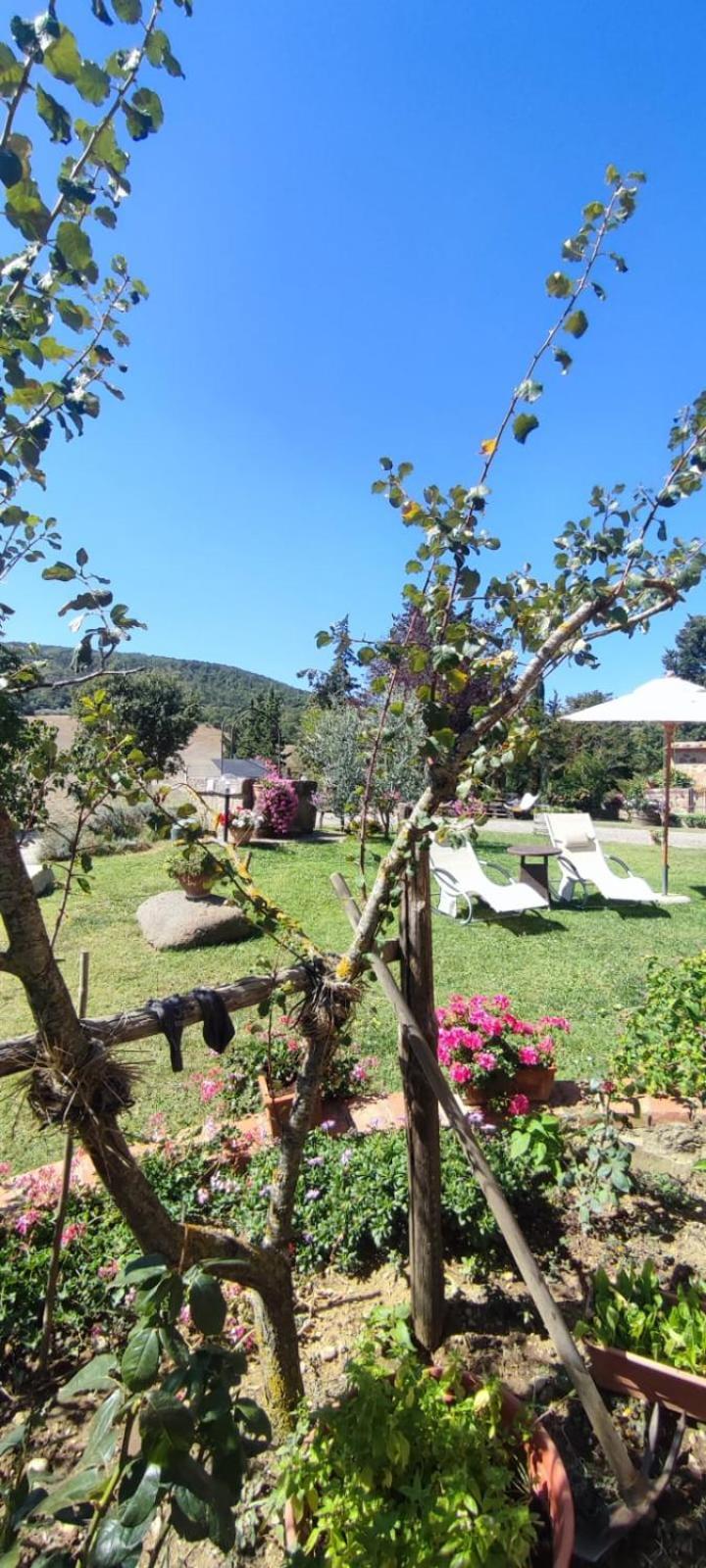 Agriturismo Il Pozzo Castiglione dʼOrcia Exterior foto