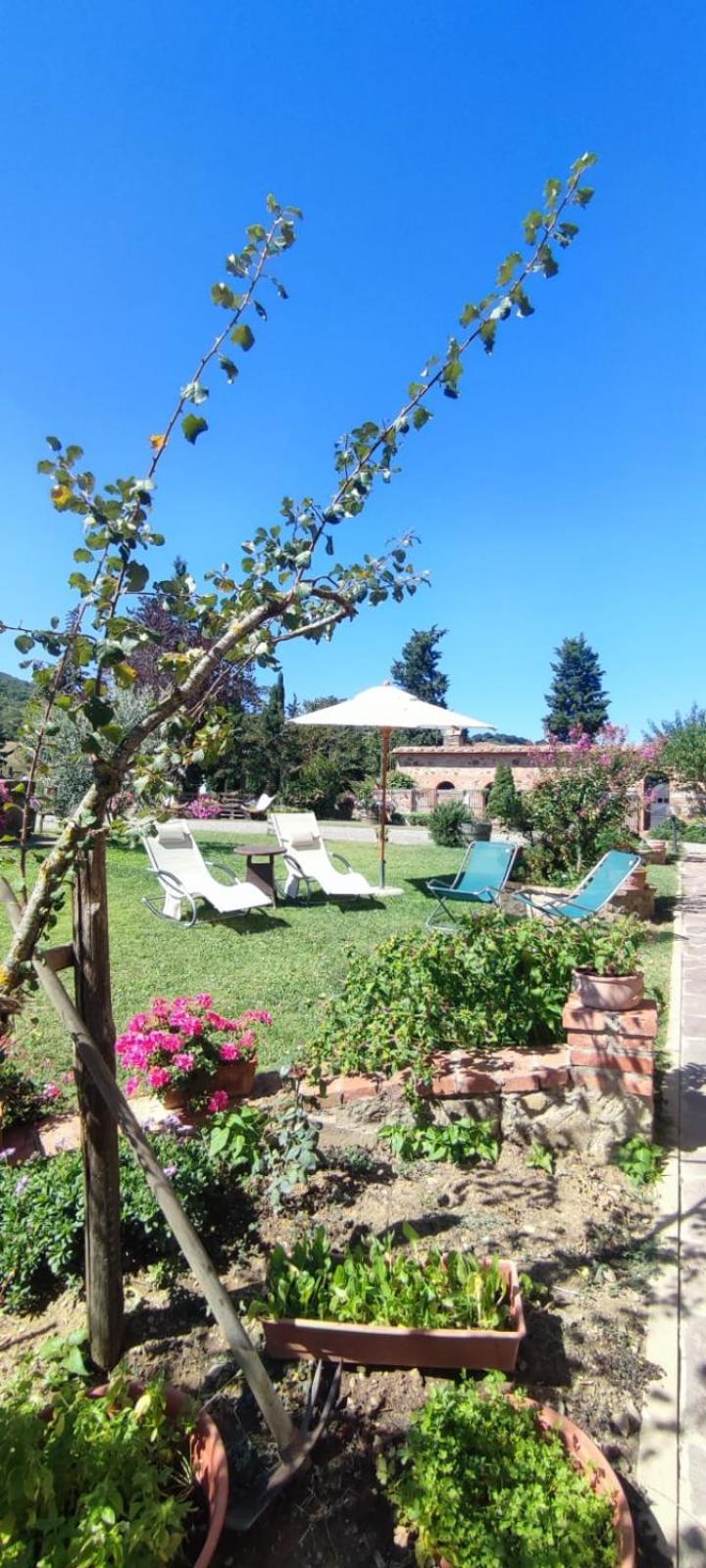 Agriturismo Il Pozzo Castiglione dʼOrcia Exterior foto